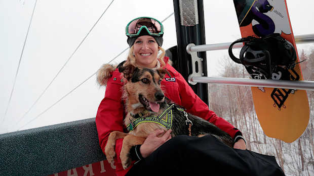 sochi-dogs-2014-winter-olympics.jpg